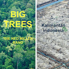 Big Trees, Noel Miller